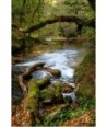 Creuse 25