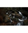 Cascade d'Augerolles entre les rochers moussus
