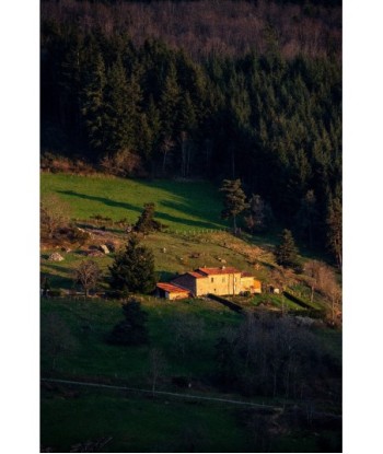 Ferme isolée au flanc d'une colline, Livradois-Forez