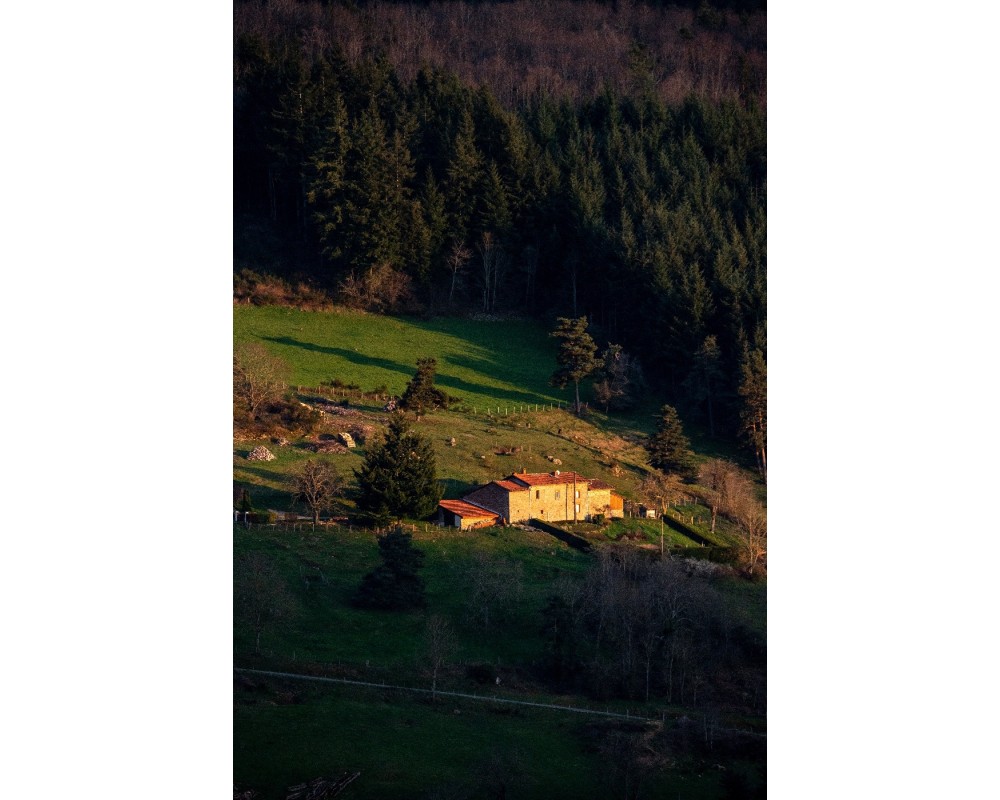 Ferme isolée au flanc d'une colline, Livradois-Forez