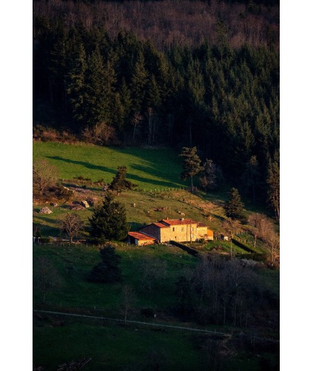 Ferme isolée au flanc d'une colline, Livradois-Forez