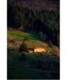 Ferme isolée au flanc d'une colline, Livradois-Forez