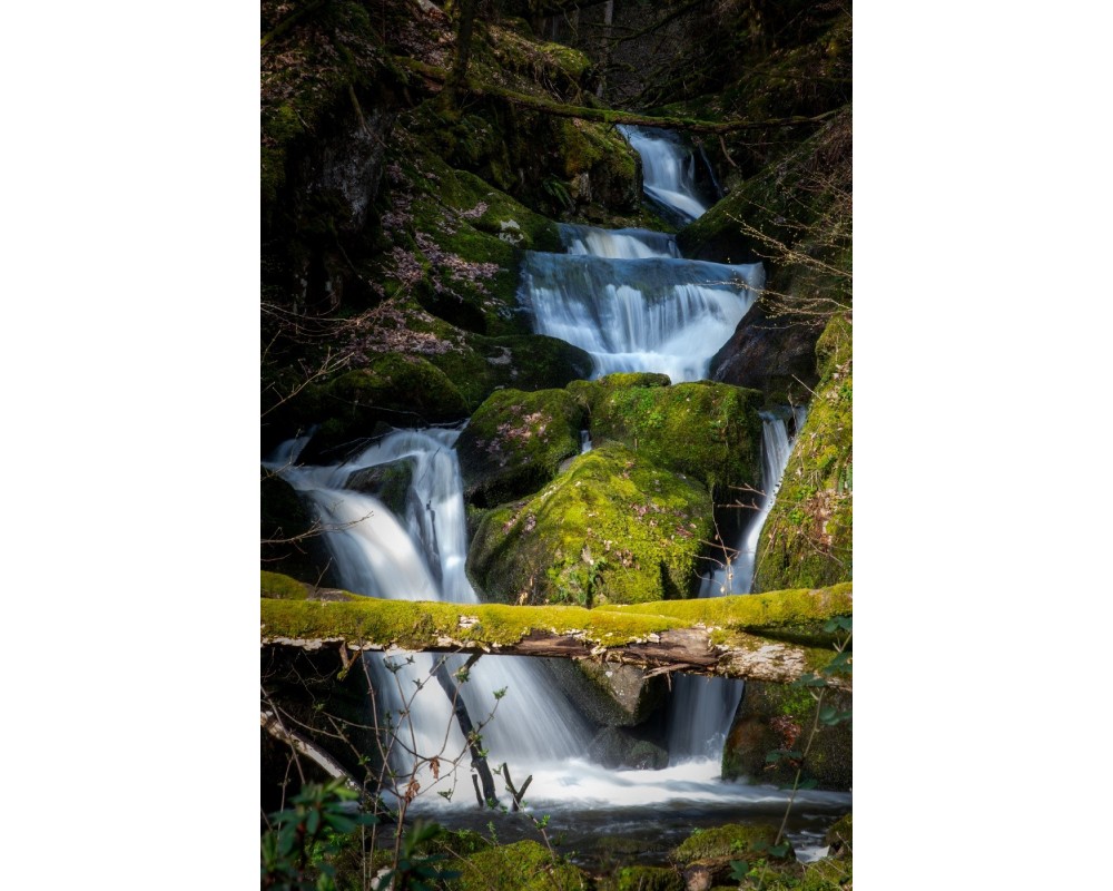 Cascade dans la forêt du Livradois-Forez