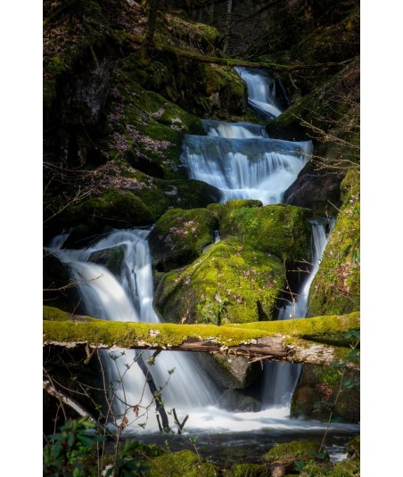 Cascade dans la forêt du Livradois-Forez
