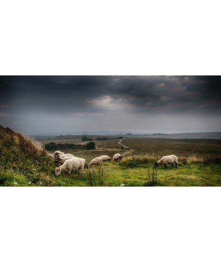 Landes des monts d'Arrée sous un ciel d'orage