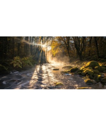 Rayons de soleil dans la brume au bord de l'Ellé, Le Faouët