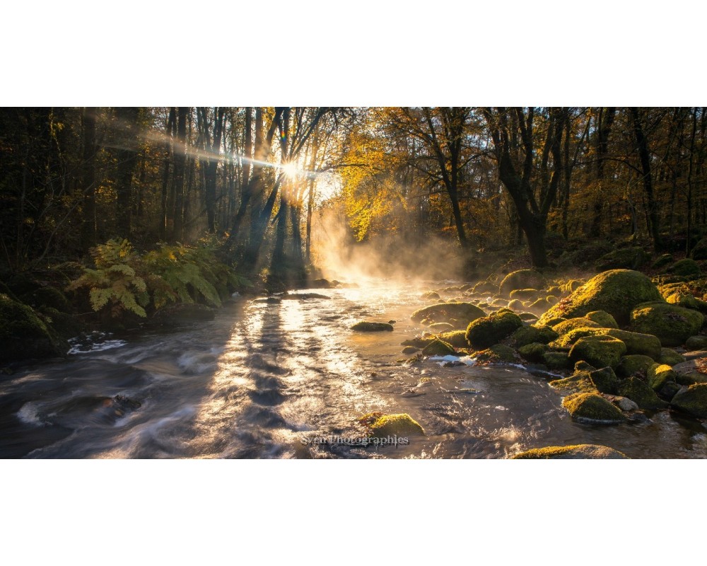 Rayons de soleil dans la brume au bord de l'Ellé, Le Faouët