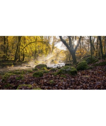 Forêt d'automne au bord de l'Ellé, au Faouët