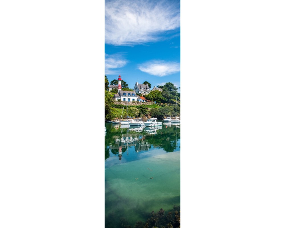 Doëlan en été, reflets sur l'eau verte, panoramique vertical