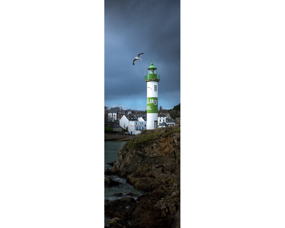 Phare de Doëlan et mouette, panoramique vertical