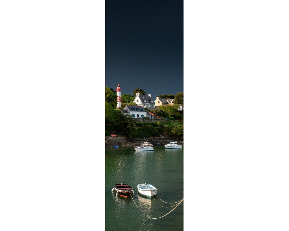 Barques amarrées à Doëlan, panoramique vertical