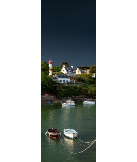Barques amarrées à Doëlan, panoramique vertical