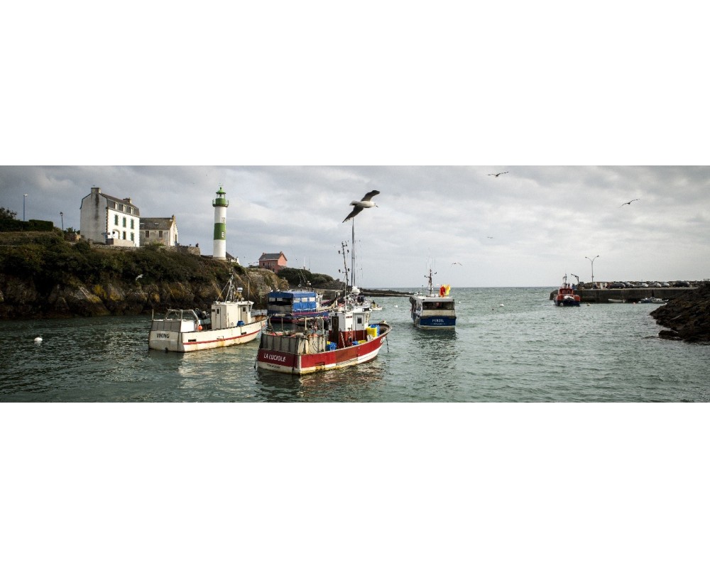 Bateaux de pêche et phare de Doëlan, panoramique