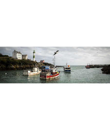 Bateaux de pêche et phare de Doëlan, panoramique