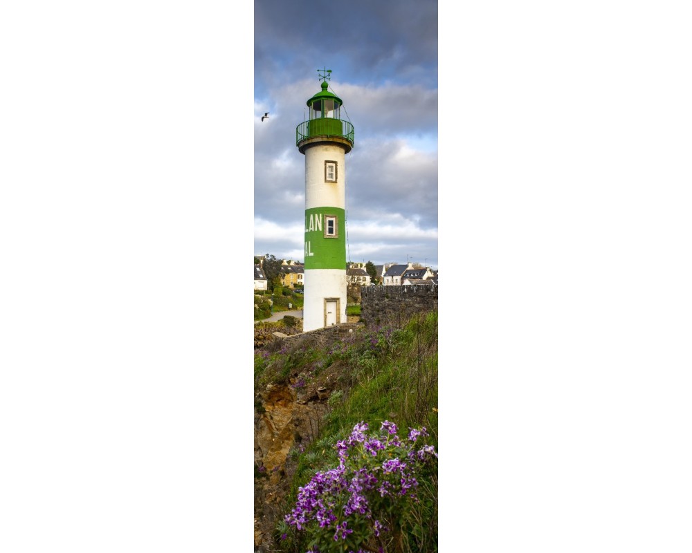 Phare de Doëlan et fleurs, panoramique vertical