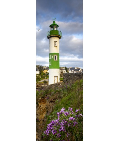 Phare de Doëlan et fleurs, panoramique vertical