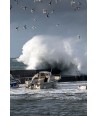 copy of copy of Tempêtes 88