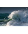 Tempête Céline, goélands et vague verte à Quiberon