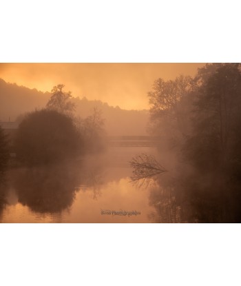 Brume dorée sur un étang de Brocéliande