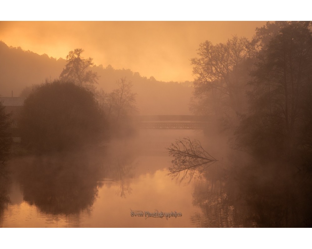 Brume dorée sur un étang de Brocéliande