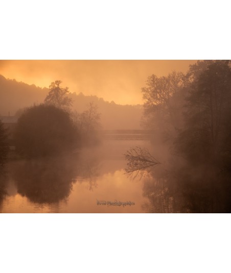 Brume dorée sur un étang de Brocéliande