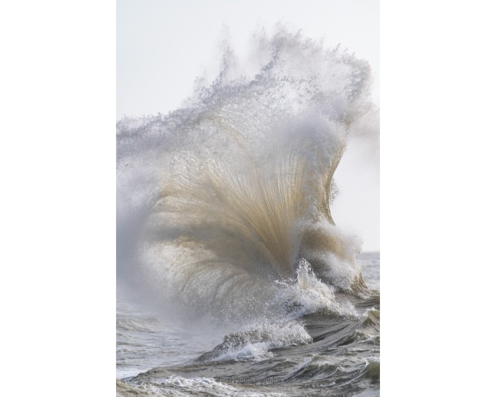 Tempête Henk à Lomener, crête d'écume dorée