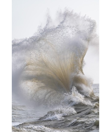 Tempête Henk à Lomener, crête d'écume dorée