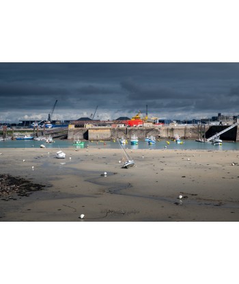 Saint-Malo — mouettes en...