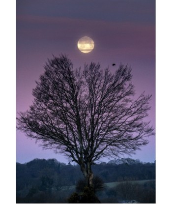 Pleine lune de février...
