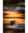 Barque sur l'étang de Vioreau, flou directionnel doré