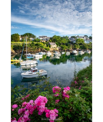 Fleurs et bateaux — port de...