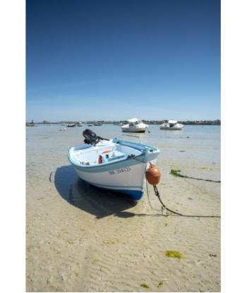 Barque bleue et bouée...