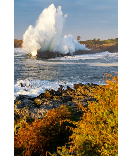Tempête Kirk à Doëlan, gerbe d'écume et feuillages d'automne