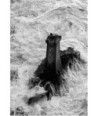 Phare de la Vieille dans l'écume, raz de Sein — noir et blanc