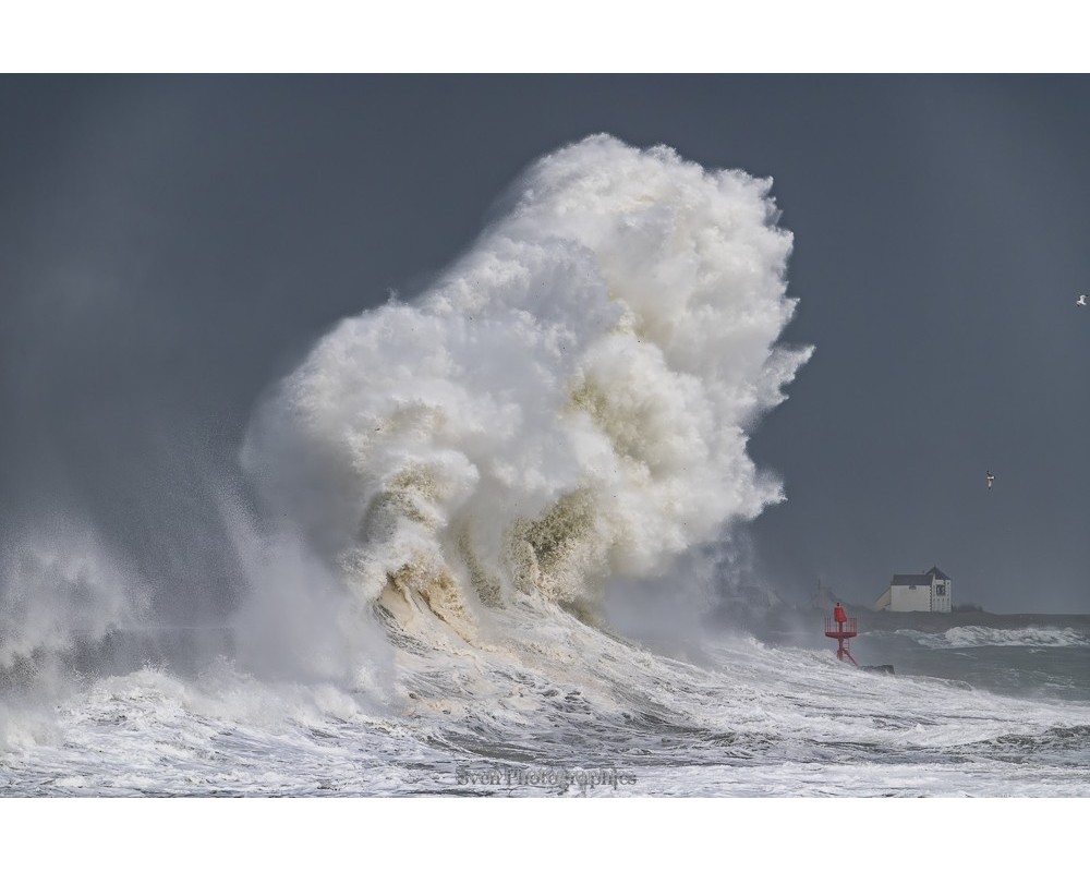 Tempête Herminia à Lesconil, la vague se dresse