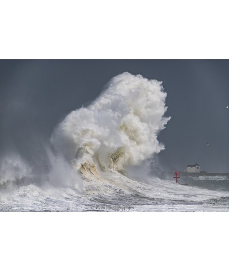Tempête Herminia à Lesconil, la vague se dresse