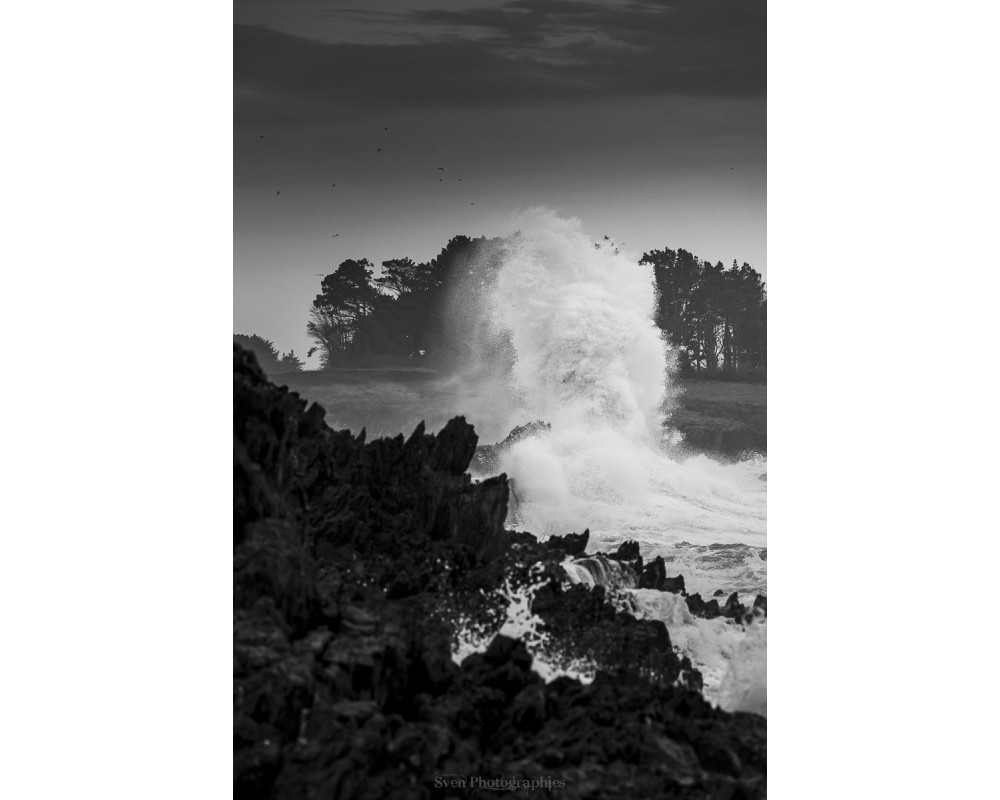 Tempête Bert, la vague devant les arbres de Doëlan — noir et blanc