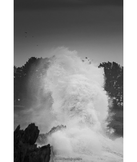 Tempête Bert, mur d'écume sur la côte de Doëlan — noir et blanc