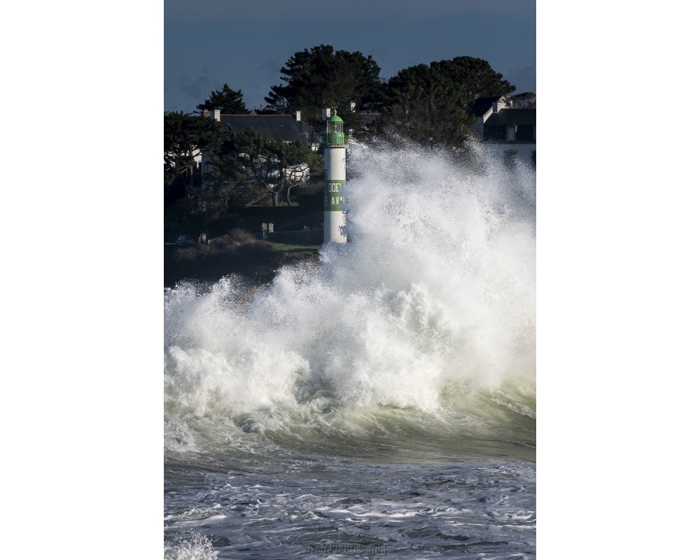 Tempête Éowyn à Doëlan, écume blanche devant la rive boisée