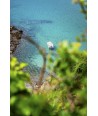 copy of copy of Presqu'île de Crozon 4