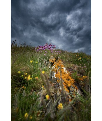 Presqu'île de Crozon —...