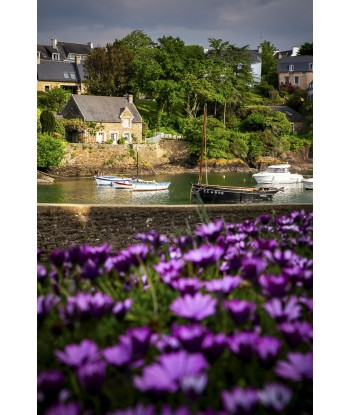 Port de Doëlan fleuri —...