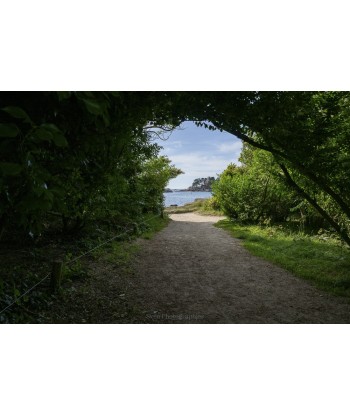 Chemin ombragé vers la mer...
