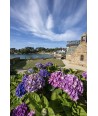 Hortensias bleus et mauves à Ploumanac'h — Port et bourg en arrière-plan