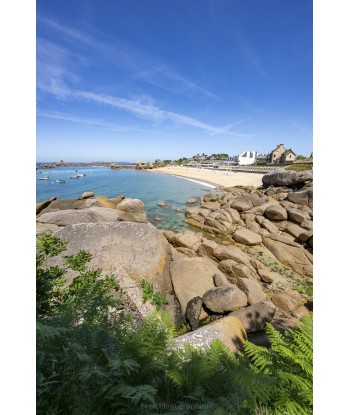 Rochers de granite rose et...