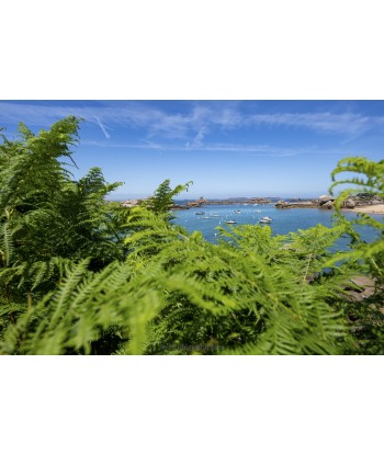 Anse de Trégastel vue à...