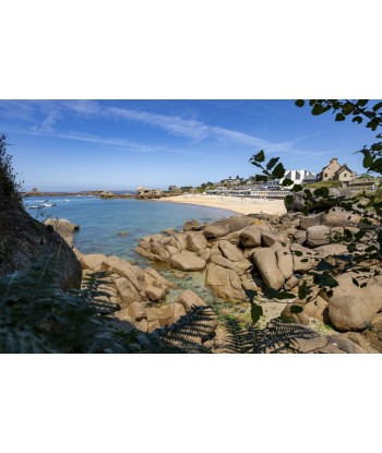 Rochers de granite rose et...