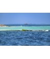 copy of copy of copy of copy of copy of copy of copy of Presqu'île de Crozon 7