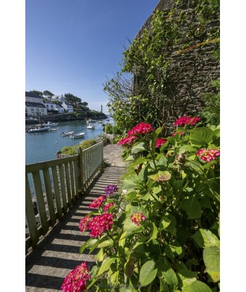 Promenade fleurie en bord...
