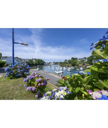 Port de Doëlan en été —...